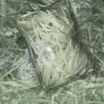 Decorative Shredded Paper for Gift Packaging and Crafts, 50g, White