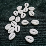 White Cowrie Shell Beads, Natural Pre-Drilled Seashells for DIY Jewelry Making, Beach Style Craft Supplies, Bohemian Tribal Accessories - Image 2