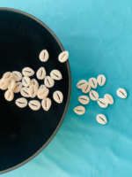 White Cowrie Shell Beads, Natural Pre-Drilled Seashells for DIY Jewelry Making, Beach Style Craft Supplies, Bohemian Tribal Accessories - Image 4
